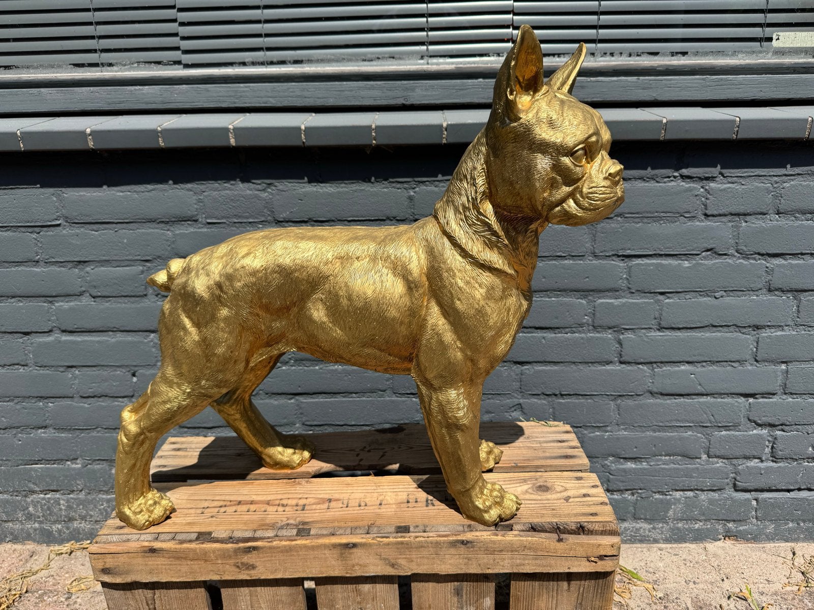 Goudkleurig Beeld Franse Bulldog - Unieke Decoratie, Ophalen, Overige onderwerpen, Handgemaakt, 20 - 50 cm