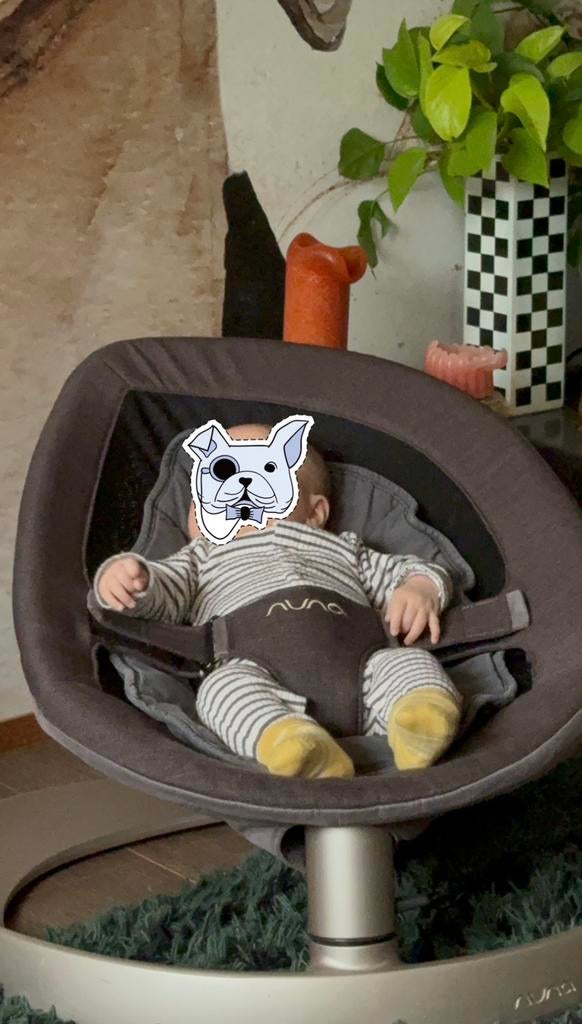 Nuna Leaf schommel/wiegstoeltje TEAB, Kinderen en Baby's, Wipstoeltjes, Ophalen, Gebruikt, Schommelstoel, Met gordel(s) of riempje(s)
