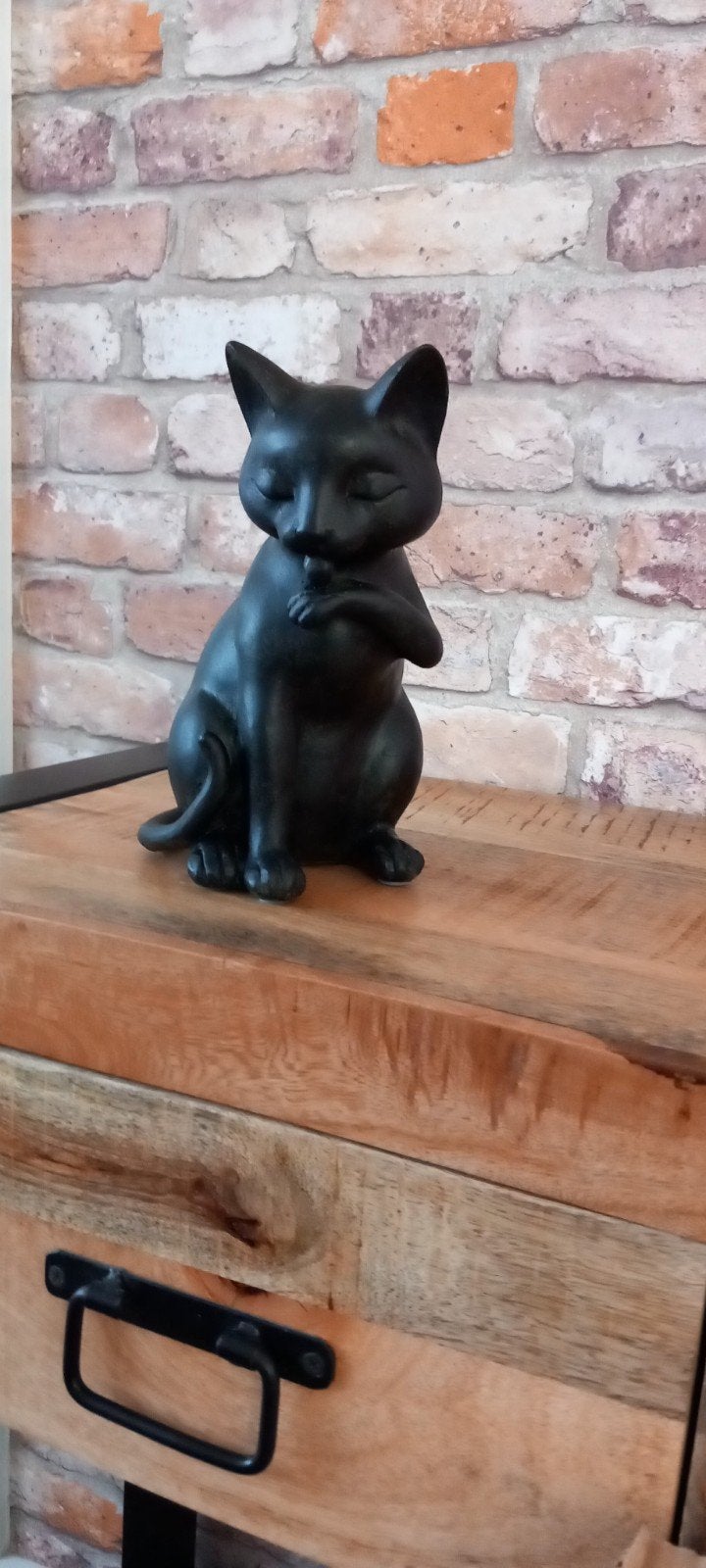 Kat Likkend aan zijn Pootje Beeld♥️SALE VERKOOP♥️, Ophalen of Verzenden, Nieuw, Dier