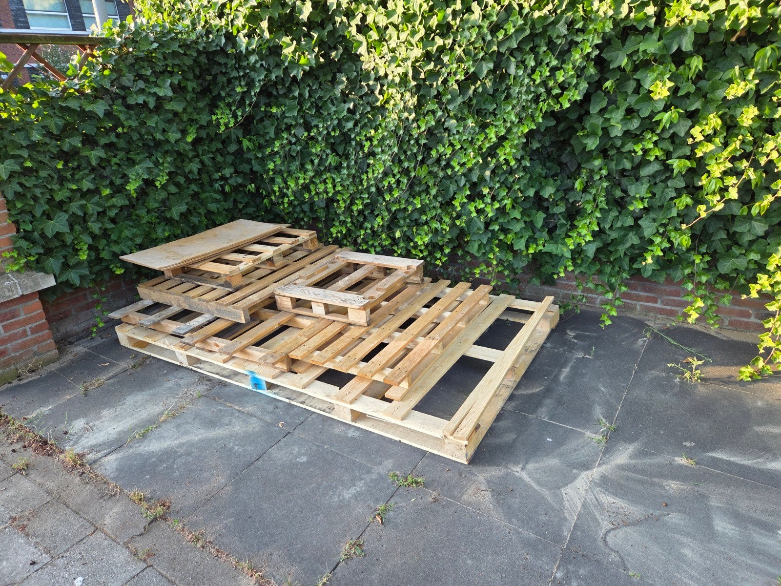 Europalets gratis af te halen, Ophalen, Gebruikt, 25 tot 50 mm, Pallet