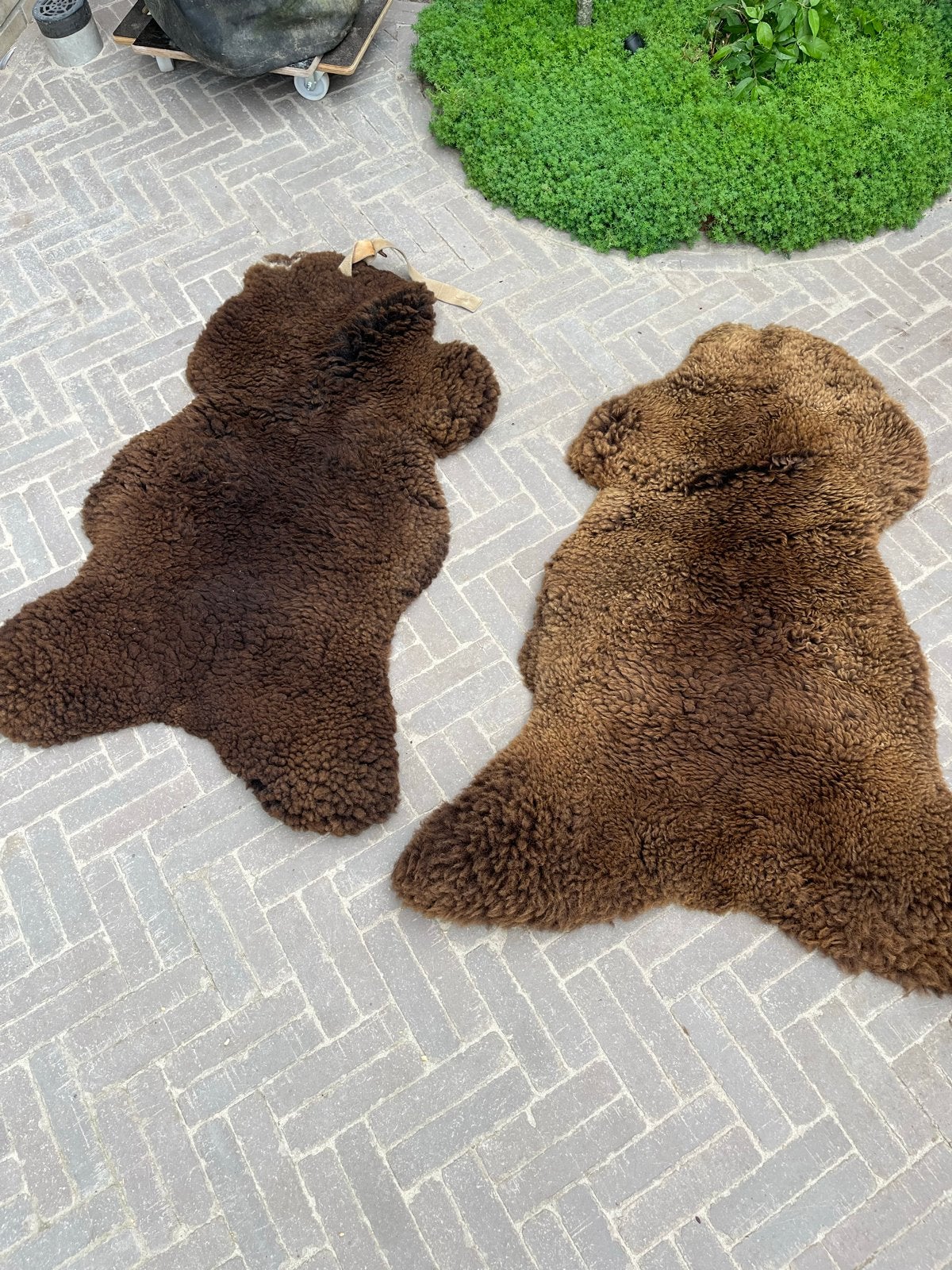 Twee echte schapenvachten, Ophalen, Natuurlijk materiaal, Bruin, Landelijk
