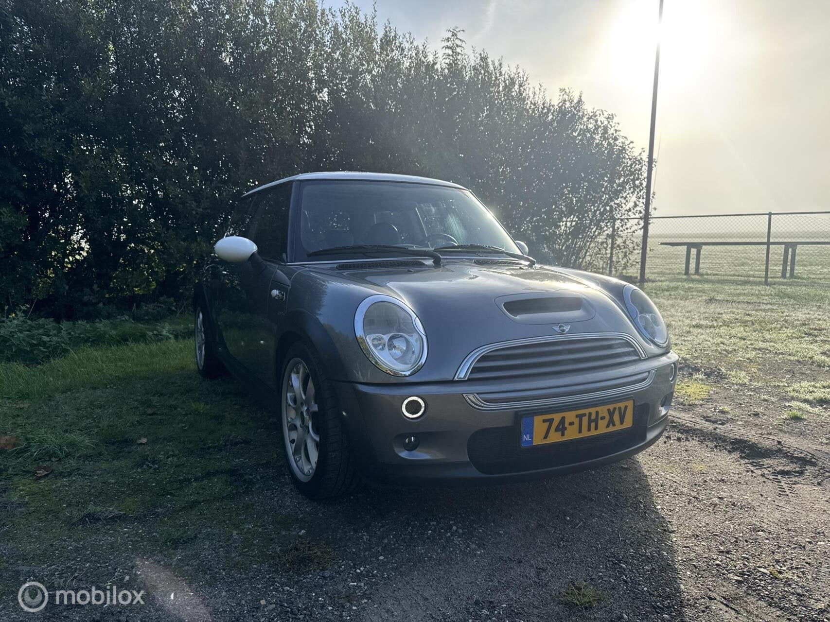 Mini 3-Deurs 1.6 Cooper S Chili, Auto's, Voorwielaandrijving, Gebruikt, 4 cilinders, 4 stoelen