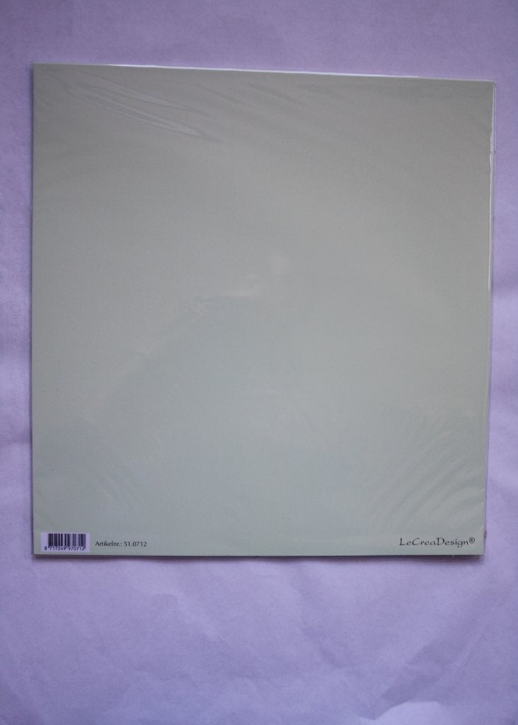 16 vel leane scrapbook papier mint 0003, Hobby en Vrije tijd, Scrapbooking, Ophalen of Verzenden, Nieuw, Papier of Karton, Overige merken