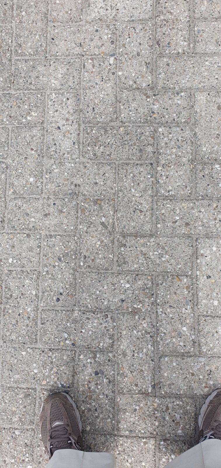 ±200m2 grijze betonklinkers te koop - Prijs overeen te komen, Tuin en Terras, Tegels en Klinkers, Ophalen of Verzenden, Gebruikt