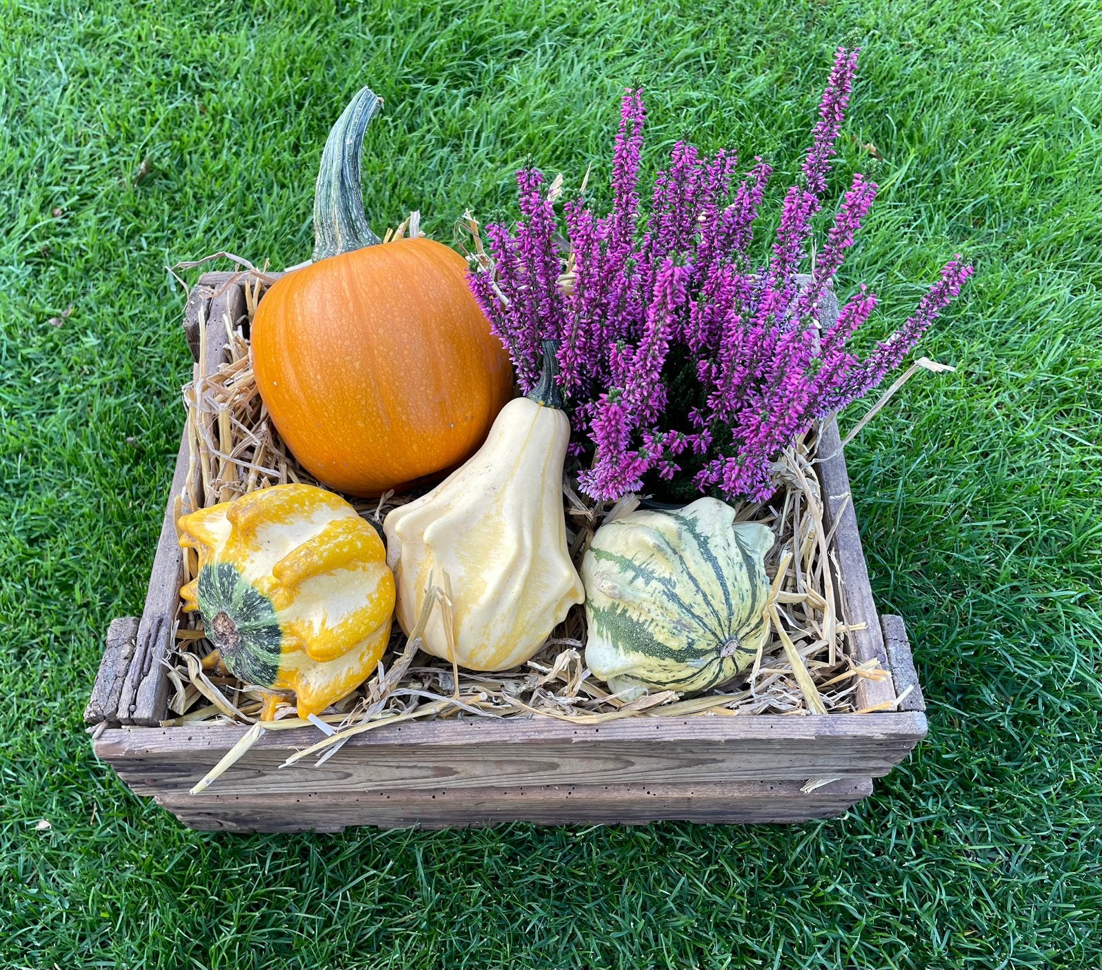 Herfst decoratie, fruitkistje, kalebassen, heide, stro, Tuin en Terras, Ophalen, Gebruikt