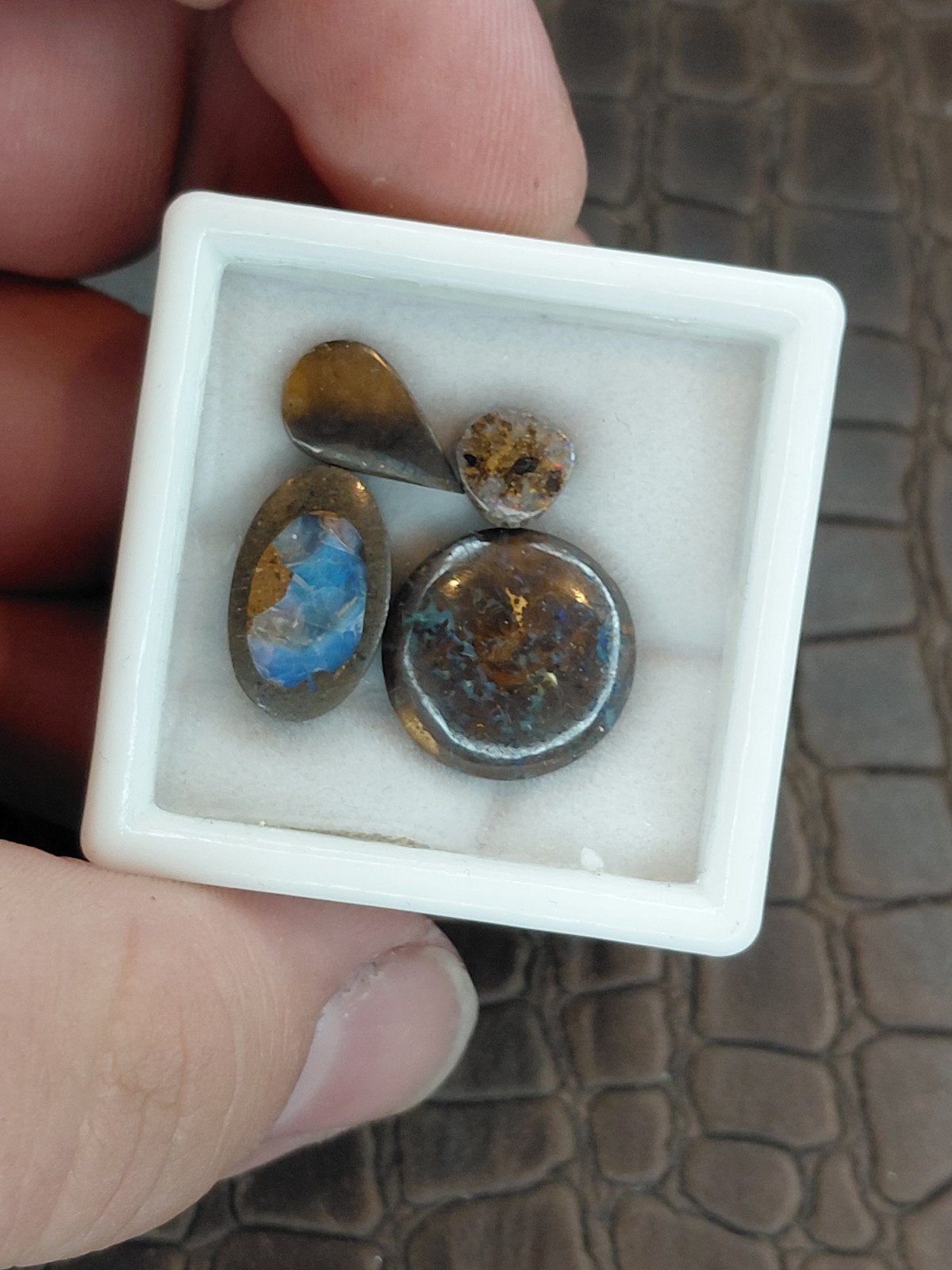 4x Australische boulder opaal 4, Ophalen of Verzenden, Nieuw