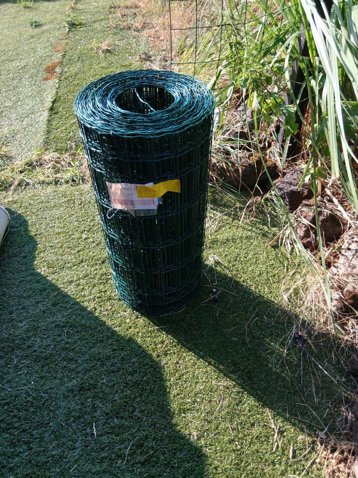 gaas, Volle zon, Ophalen of Verzenden, 100 tot 250 cm, Zomer