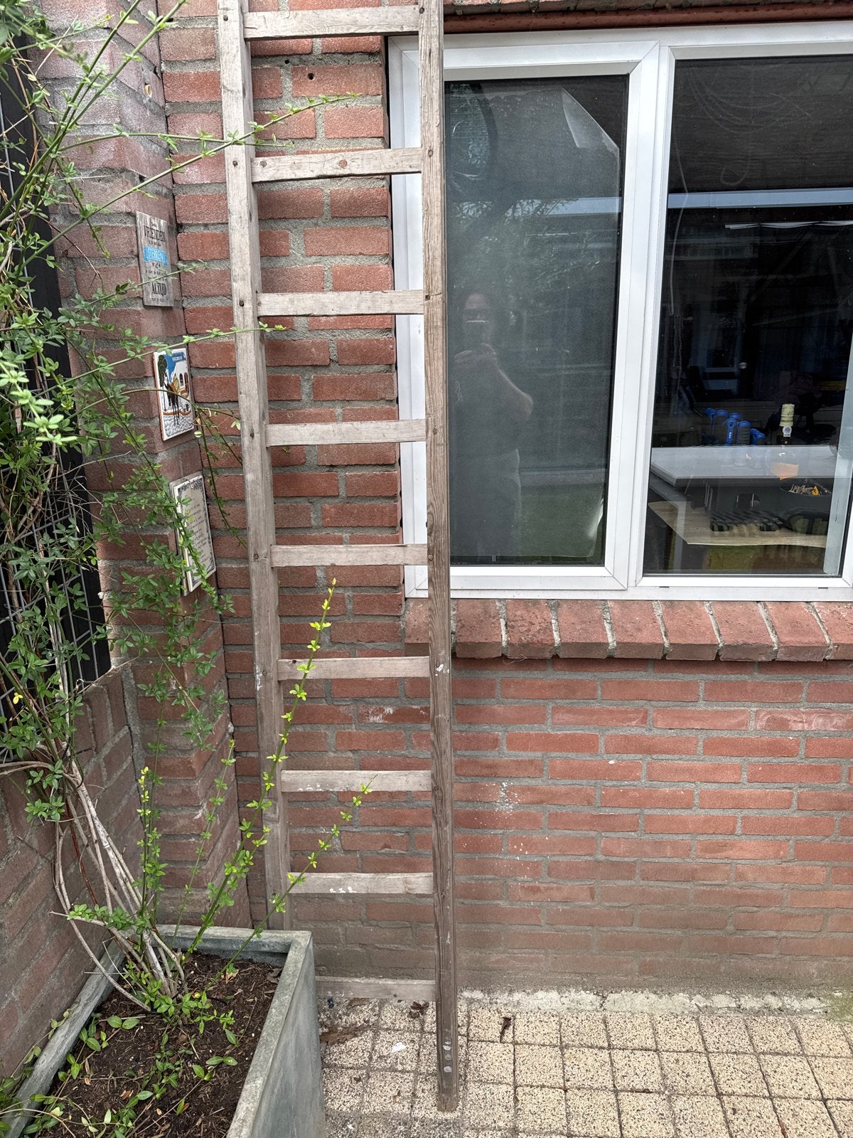 Houten ladder - robuust en functioneel, Doe-het-zelf en Verbouw, Ladders en Trappen, Ophalen, Gebruikt, Ladder, Minder dan 2 meter