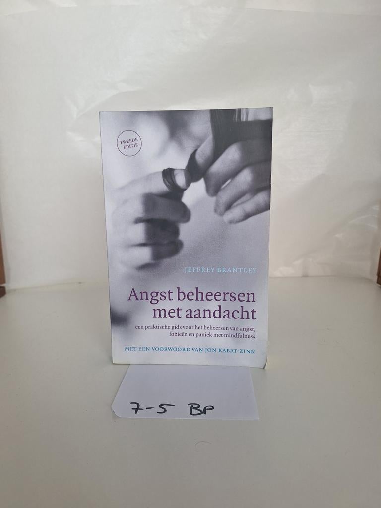 Angst beheersen met aandacht - Jeffrey Brantley, Ophalen of Verzenden