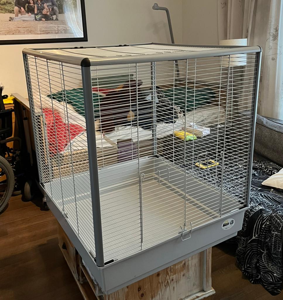 Rattenkooi, Ophalen, Kooi, 60 tot 90 cm, Zo goed als nieuw