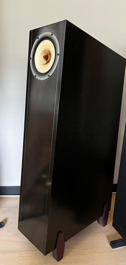 Back loaded hoorn speakers met Lii Silver S6 driver, Gebruikt, Minder dan 60 watt, Front, Rear of Stereo speakers, Ophalen
