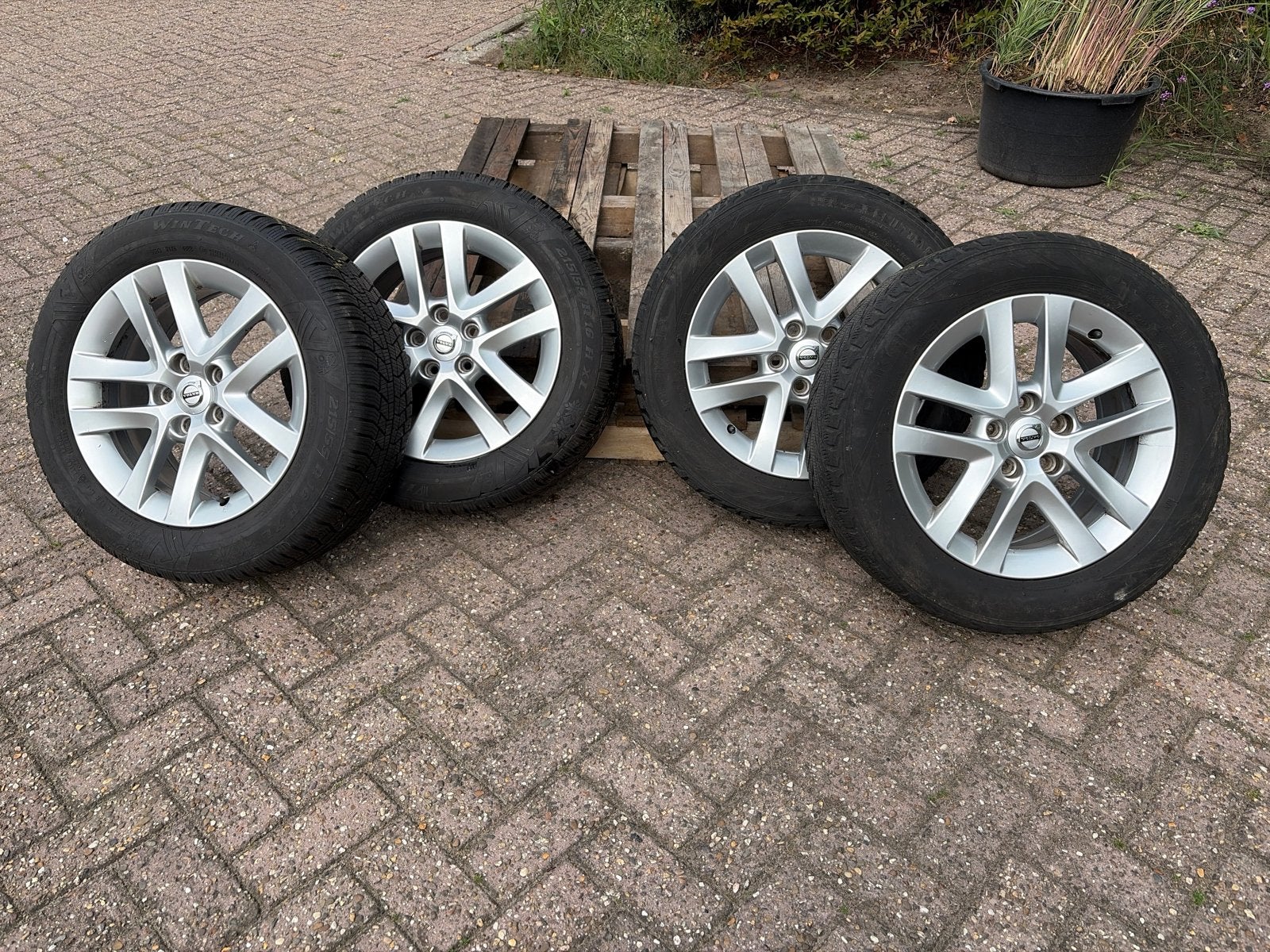Volvo 16 inch velgen met winterbanden 215 55 R16, Ophalen, 16 inch, Banden en Velgen, Winterbanden