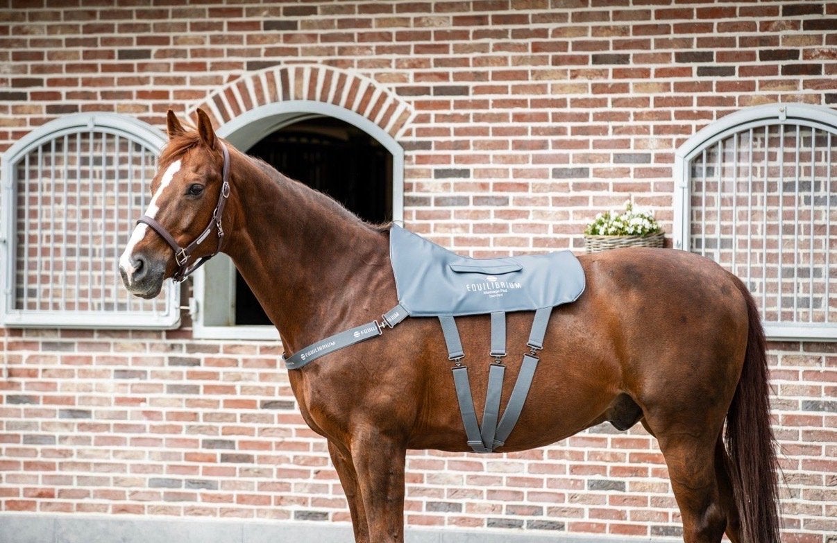 Equilibrium Massage Pad Grijs, Ophalen of Verzenden, Zo goed als nieuw