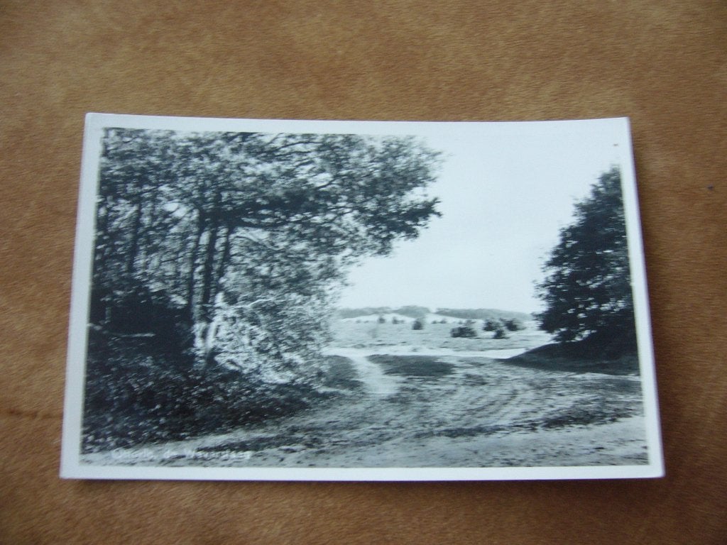 OTTERLO  =  DE WEVERSTEEG, Verzenden, 1940 tot 1960, Ongelopen
