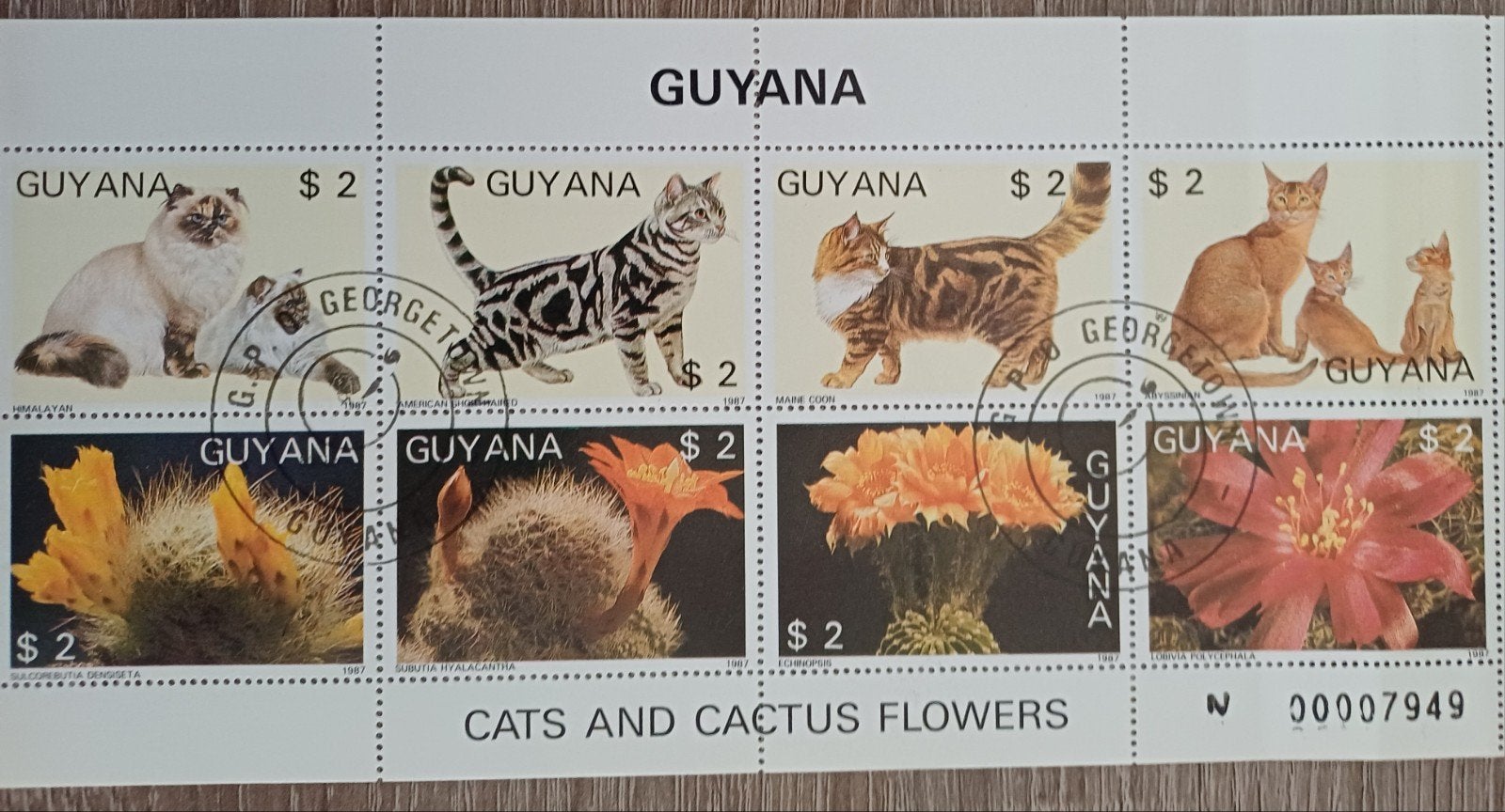 KATTEN &; BLOEMEN gestempeld, Ophalen of Verzenden, Dier of Natuur