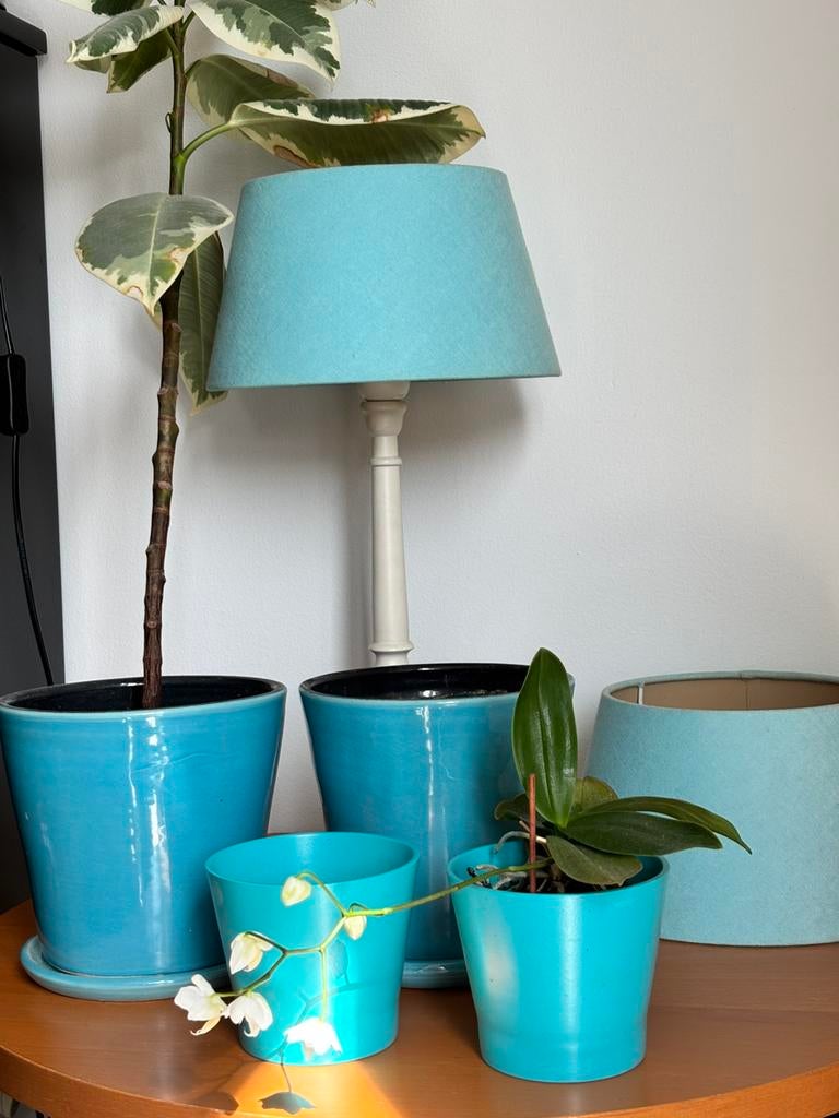 Aqua blauwe lampen kappen en bloempotten, Ophalen, Halfschaduw, Minder dan 100 cm
