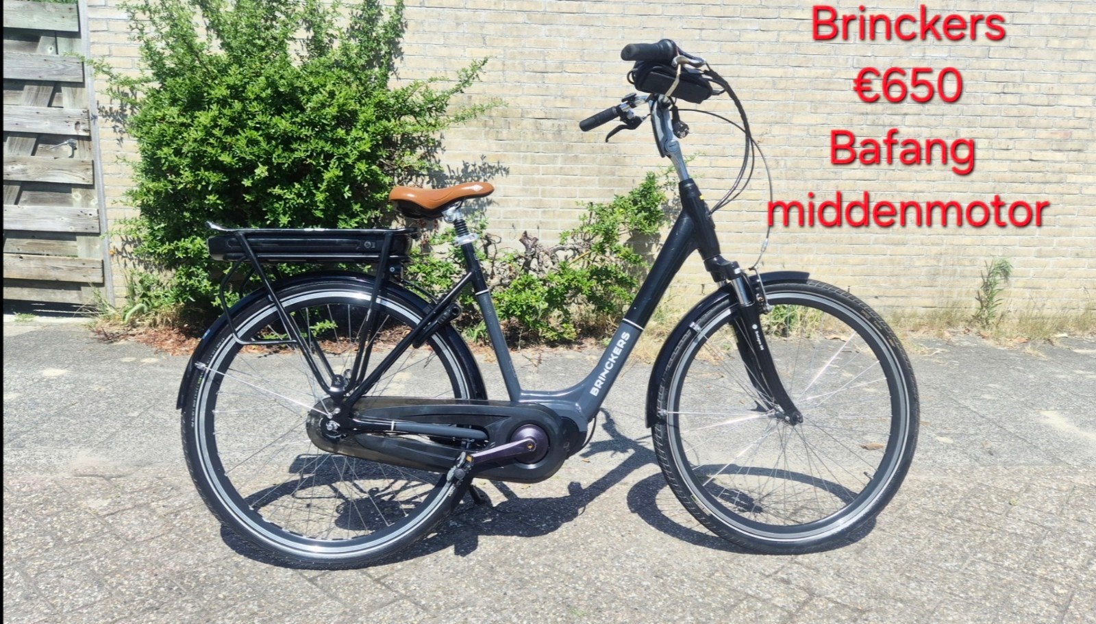 Elektrische fietsen / Herenfiets / Damesfiets, Fietsen en Brommers, Elektrische fietsen, Ophalen, Gebruikt, Overige merken