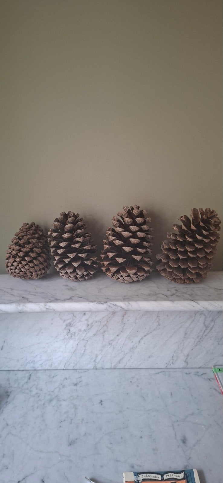 Grote dennenappels voor herfst- en kerstdecoratie, Ophalen of Verzenden, Gebruikt, Bruin, Natuurlijk materiaal