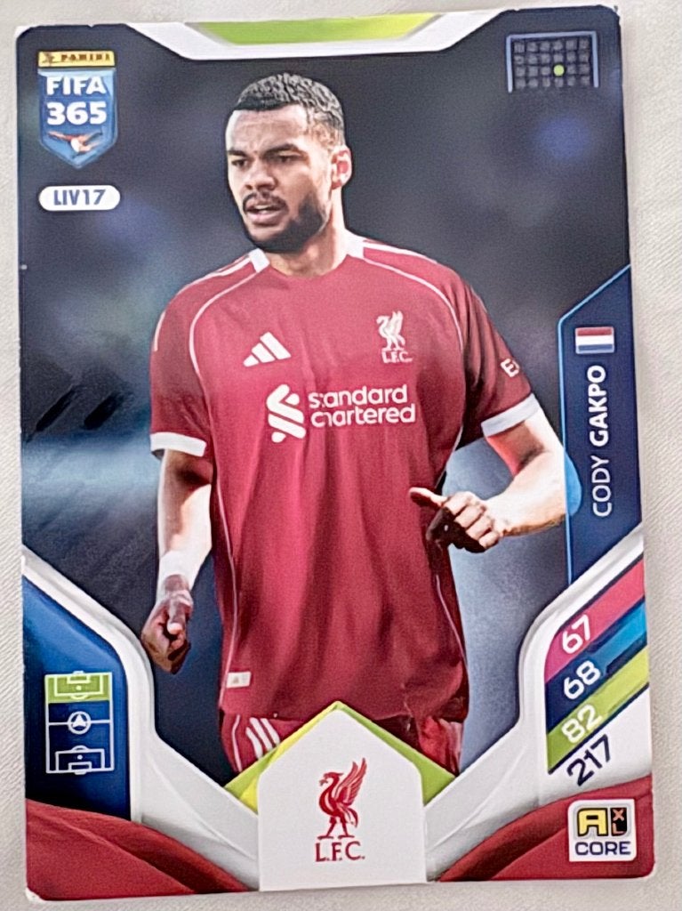 20 Panini Voetbalkaartjes, Ophalen, Zo goed als nieuw, Meerdere plaatjes