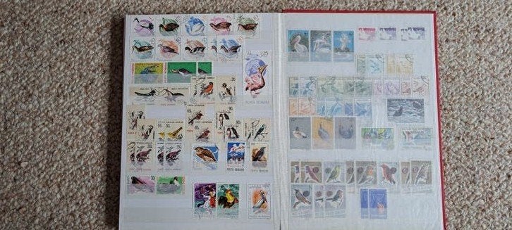 Postzegelverzameling in album - Diverse vogelsma's, Ophalen, Buitenland