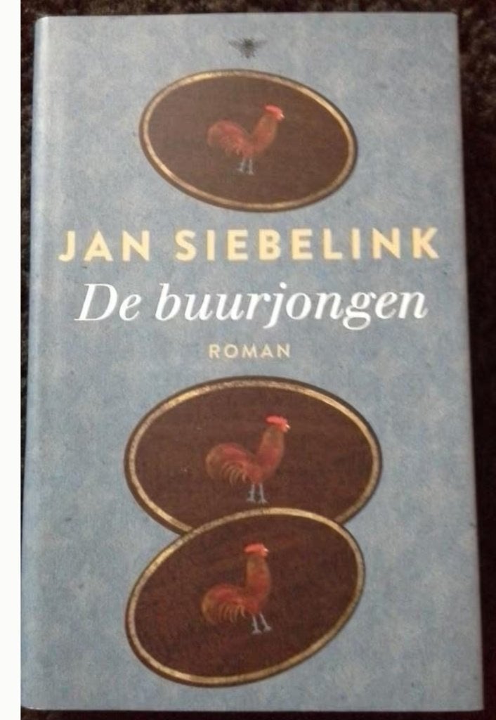 De buurjongen. Jan Siebelink, Ophalen of Verzenden, Zo goed als nieuw, Jan Siebelink, Nederland
