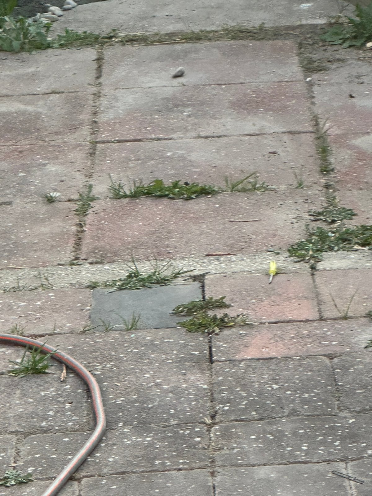 Tuin Tegels (gratis), Tuin en Terras, Ophalen, Zo goed als nieuw, Beton, Terrastegels