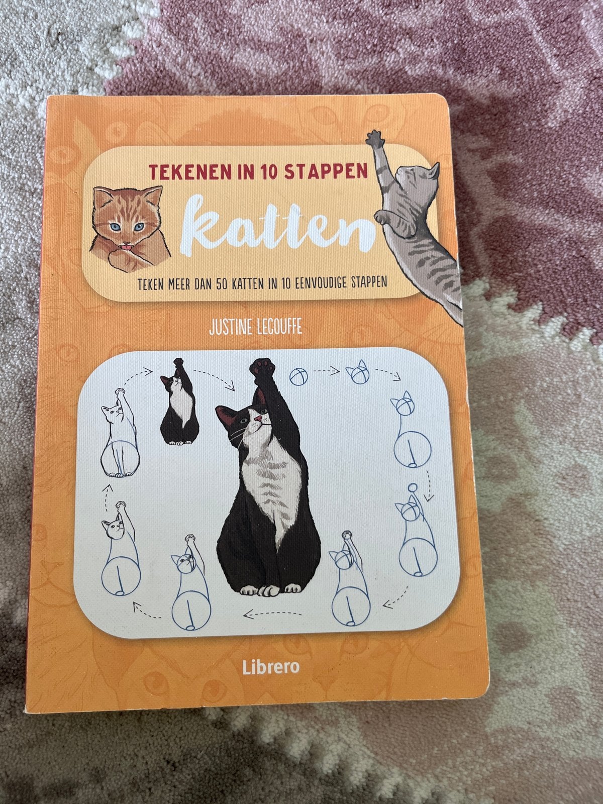 Teken in 10 stappen: Katten - Leer katten tekenen, Ophalen of Verzenden, Zo goed als nieuw, Boek of Gids