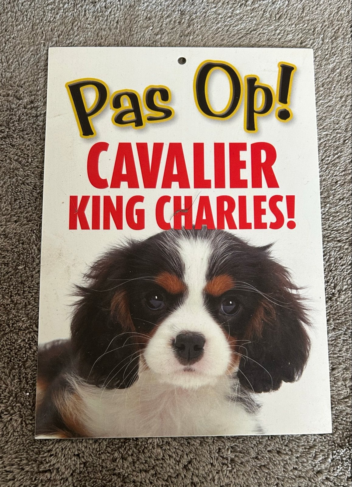 Pas Op! Cavalier King Charles! - Waarschuwingsbord, Ophalen of Verzenden, Nieuw, Honden
