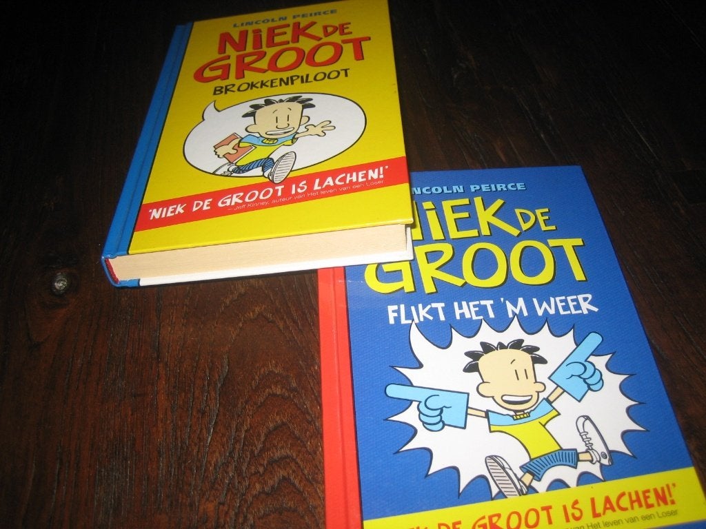 Boeken NIEK de GROOT, Ophalen of Verzenden, Zo goed als nieuw, Verhalen