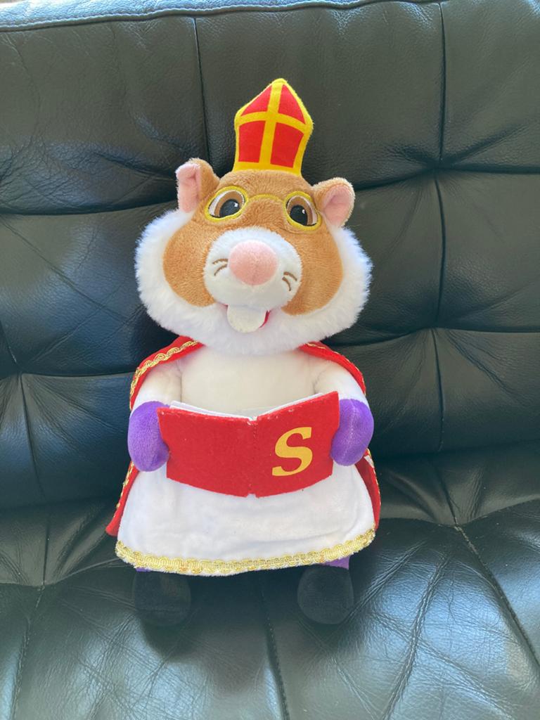Ah hamster sinterklaas, Ophalen of Verzenden, Zo goed als nieuw, Overige typen