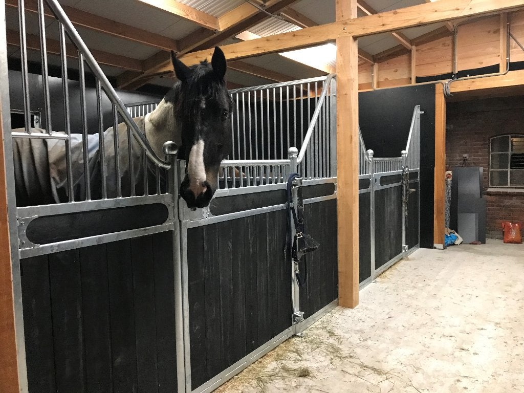 voorwand + tussenwand Rees, Dieren en Toebehoren