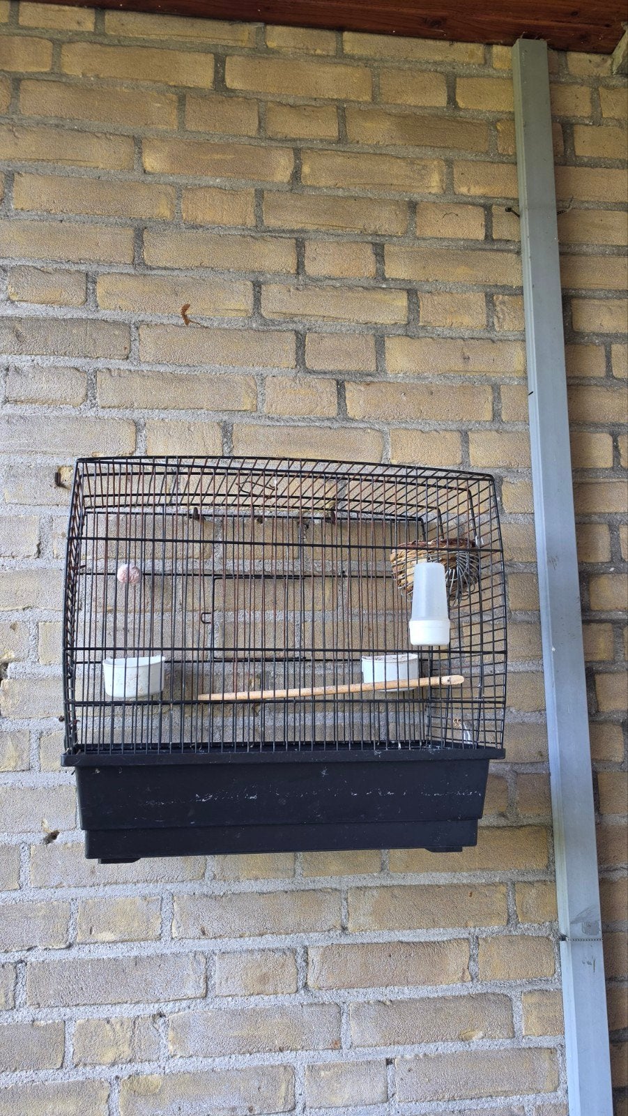 Mooie Vogelkooi, Ophalen of Verzenden, Vogelkooi