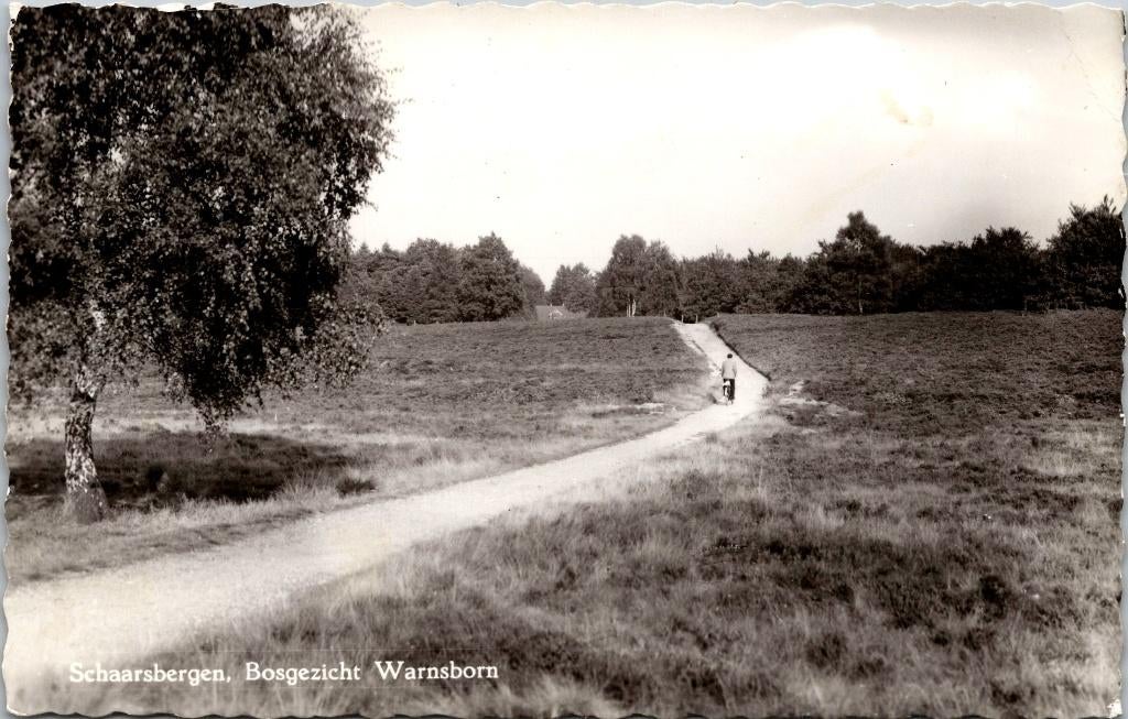 Schaarsbergen - Bosgezicht Warnsborn, Verzenden, 1940 tot 1960, Gelopen, Gelderland