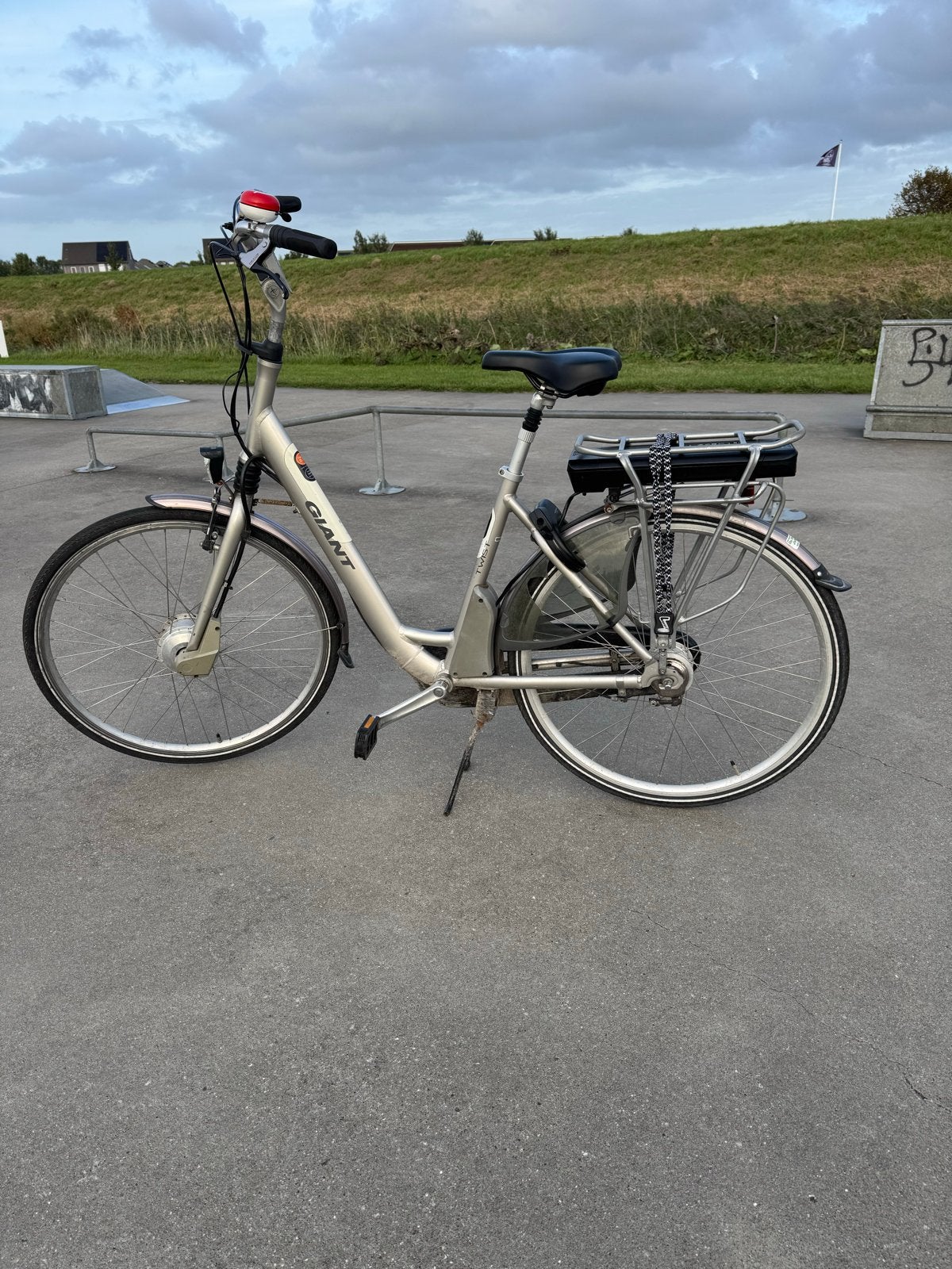 Giant Twist 2.0, Fietsen en Brommers, Ophalen, Gebruikt, Giant
