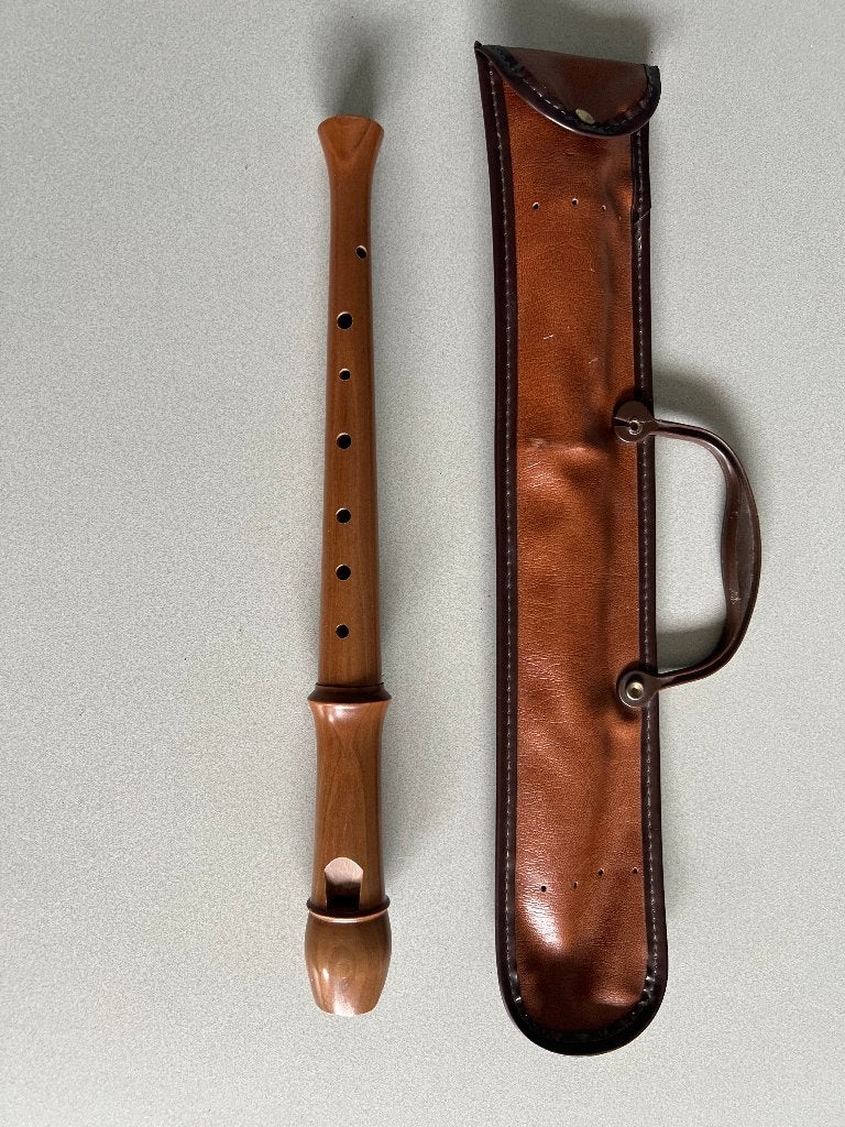 Aura Blokfluit met etui, Muziek en Instrumenten, Blaasinstrumenten | Blokfluiten, Ophalen of Verzenden, Sopraan of Sopranino