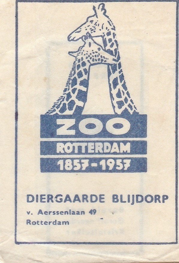 zoo diergaarde Blijdorp v Aerssenlaan Rotterdam - giraf 1957, Ophalen of Verzenden