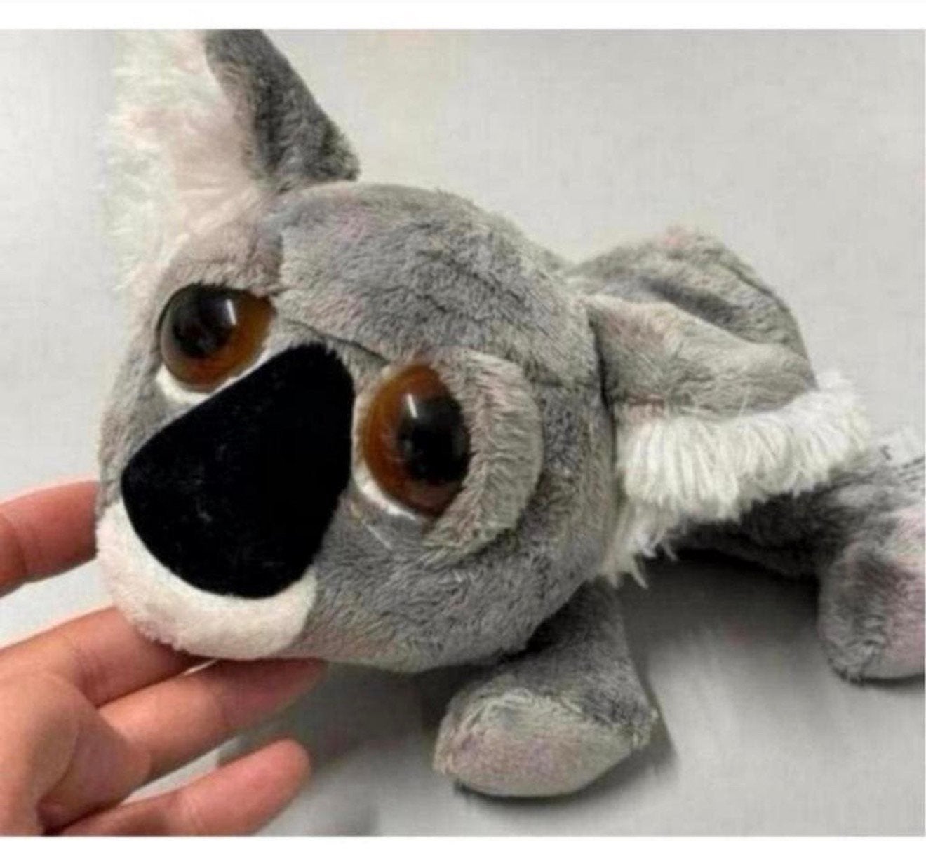Russ Li'L Peepers Koala-beer 25cm Misha koalabeer knuffel, L, Overige typen, Grijs, Nieuw
