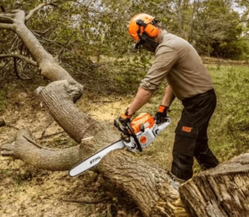 Op zoek naar bomen om te zagen, Minder dan 3 m³, Ophalen of Verzenden