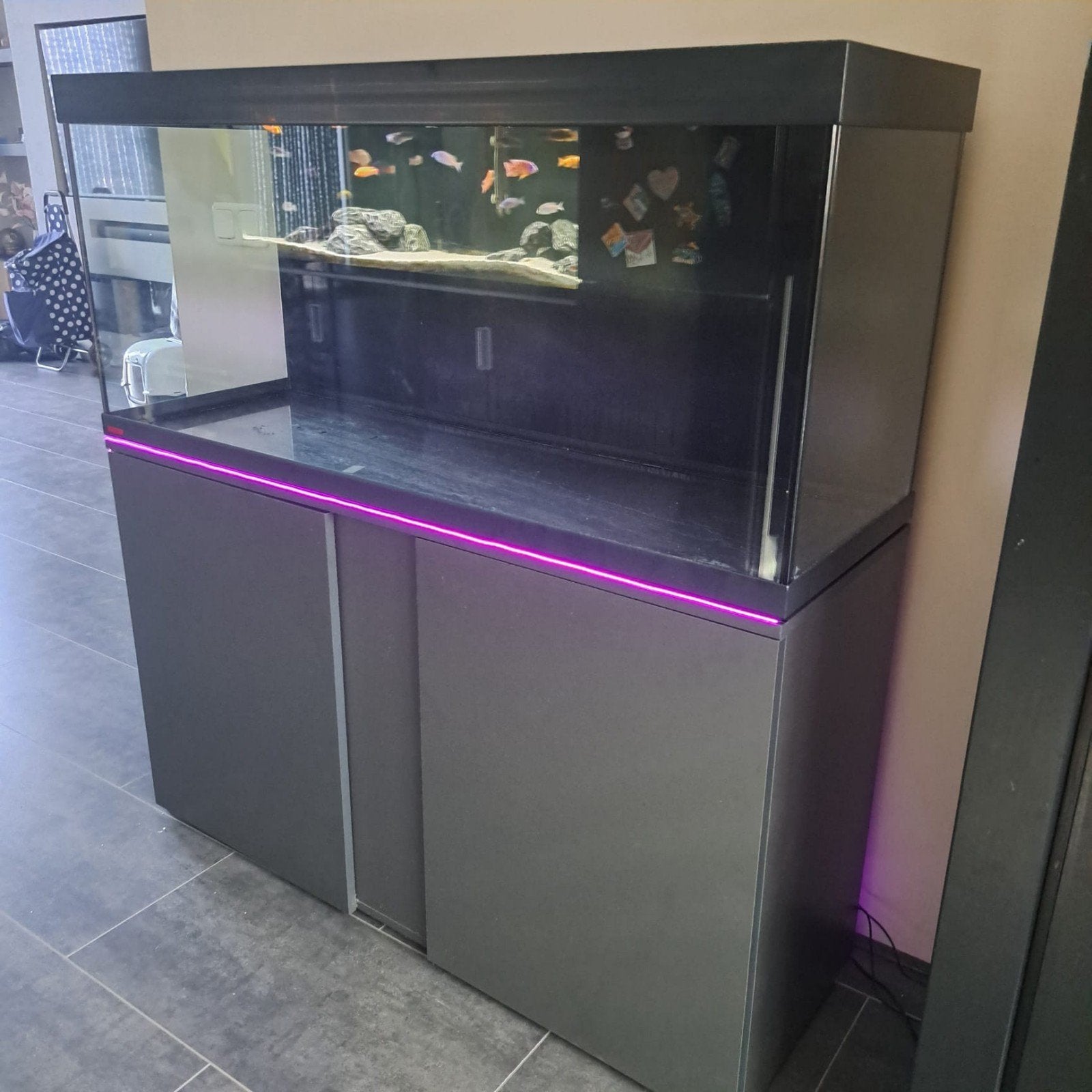 Eheim Vivaline LED 240 liter, Dieren en Toebehoren, Ophalen of Verzenden, Zo goed als nieuw, Leeg aquarium