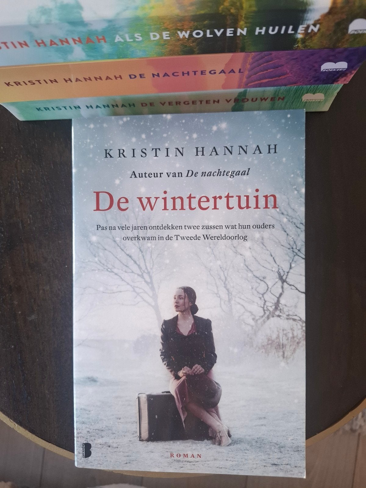Kristin Hannah - de Wintertuin, Boeken, Ophalen of Verzenden, Zo goed als nieuw