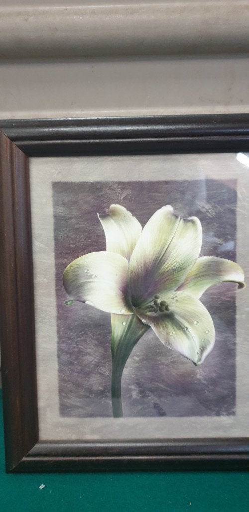 schilderij prenten bloemen, Ophalen of Verzenden, 'T Olde Gre-j, Info@toldegrej.nl, Endepoelstraat 20f Didam