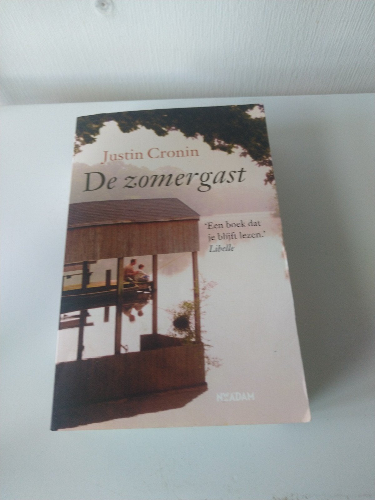 De Zomergast - Justin Cronin (Roman), Boeken, Ophalen of Verzenden, Gelezen, Justin Cronin