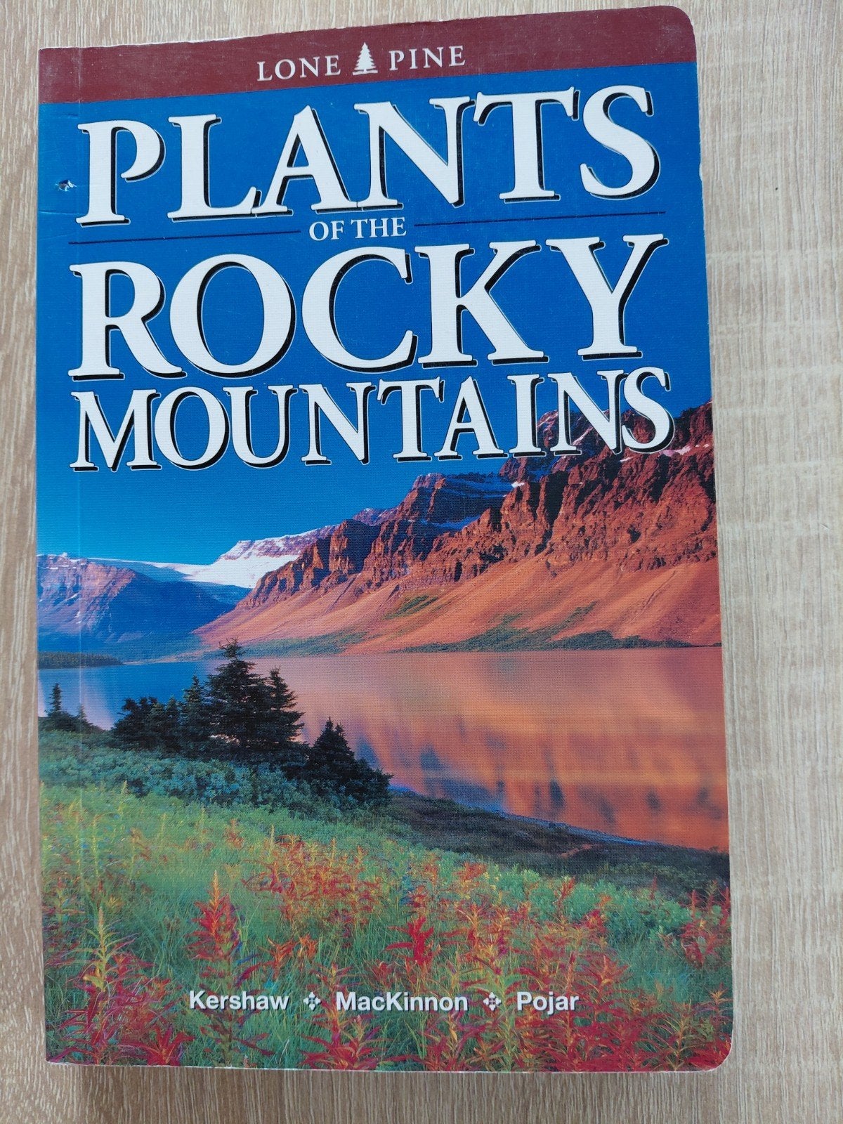Plants of the Rocky Mountains - Natuurgids, Boeken, Ophalen of Verzenden, Zo goed als nieuw, Bloemen, Planten en Bomen, Kershaw, MacKinnon, Pojar