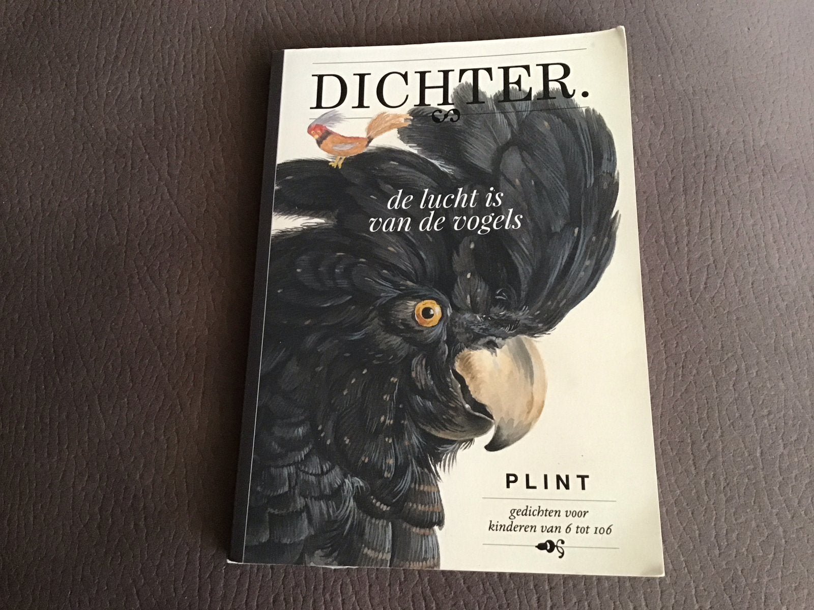 DICHTER. de lucht is van de vogels - PLINT gedichten, Boeken, Gedichten en Poëzie, Ophalen of Verzenden, Gelezen, Meerdere auteurs