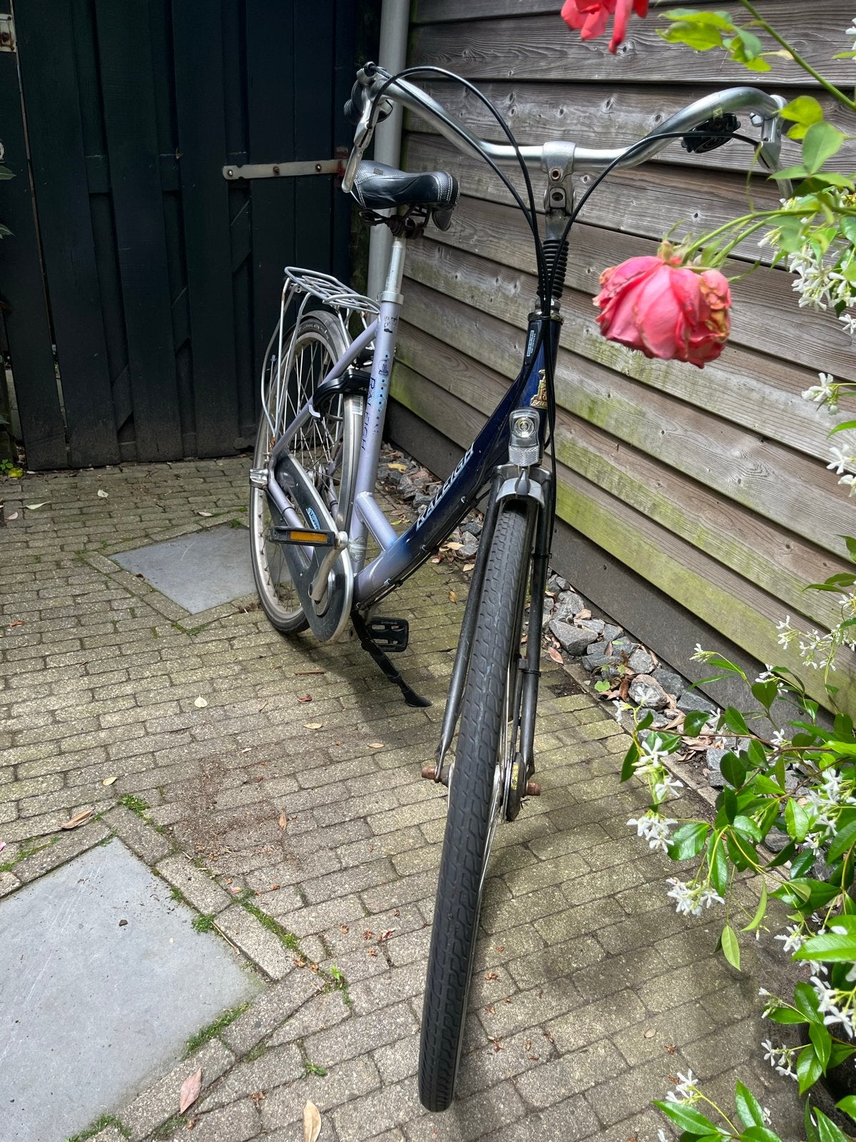 Raleigh damesfiets, Velgrem, Ophalen, Overige merken, 53 tot 56 cm