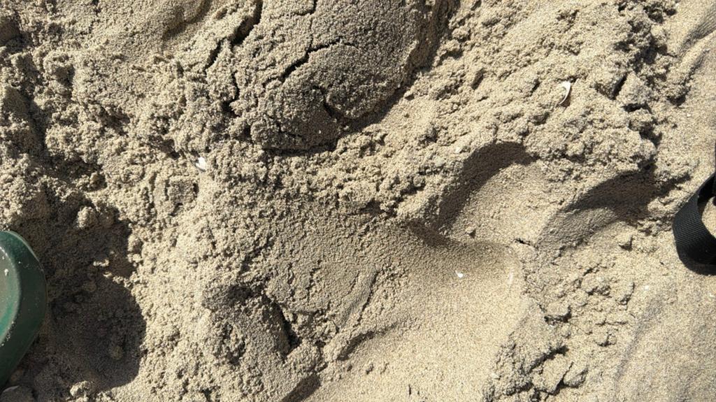 Gratis ophoog zand, Tuin en Terras, Zand, Ophalen