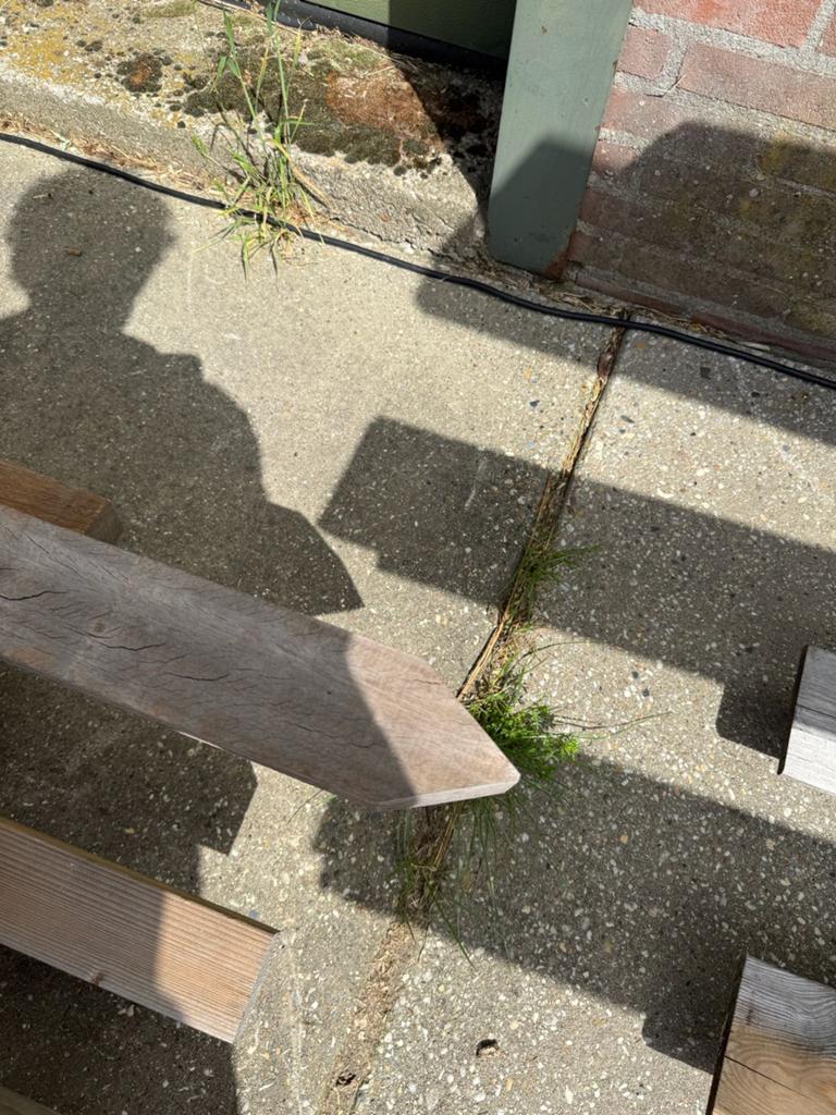 Hardhouten paal, Ophalen, Zo goed als nieuw, 250 cm of meer, Palen