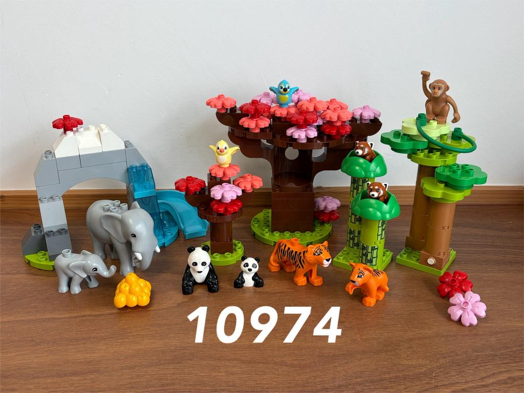 Duplo wilde dieren van Azië 10974 (compleet) 1, Ophalen of Verzenden, Zo goed als nieuw, Complete set, Duplo