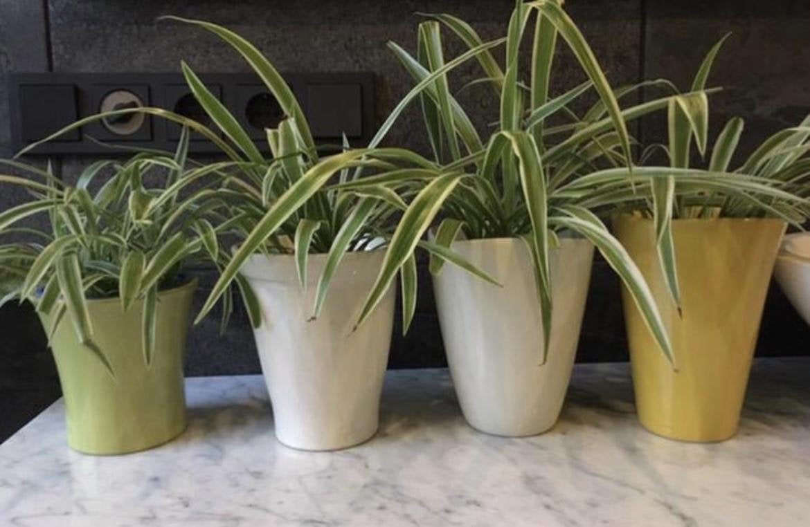 Vintage gele keramische pot diverse kleurrijke bloempotten, Ophalen, Binnen, Zo goed als nieuw, Overige vormen
