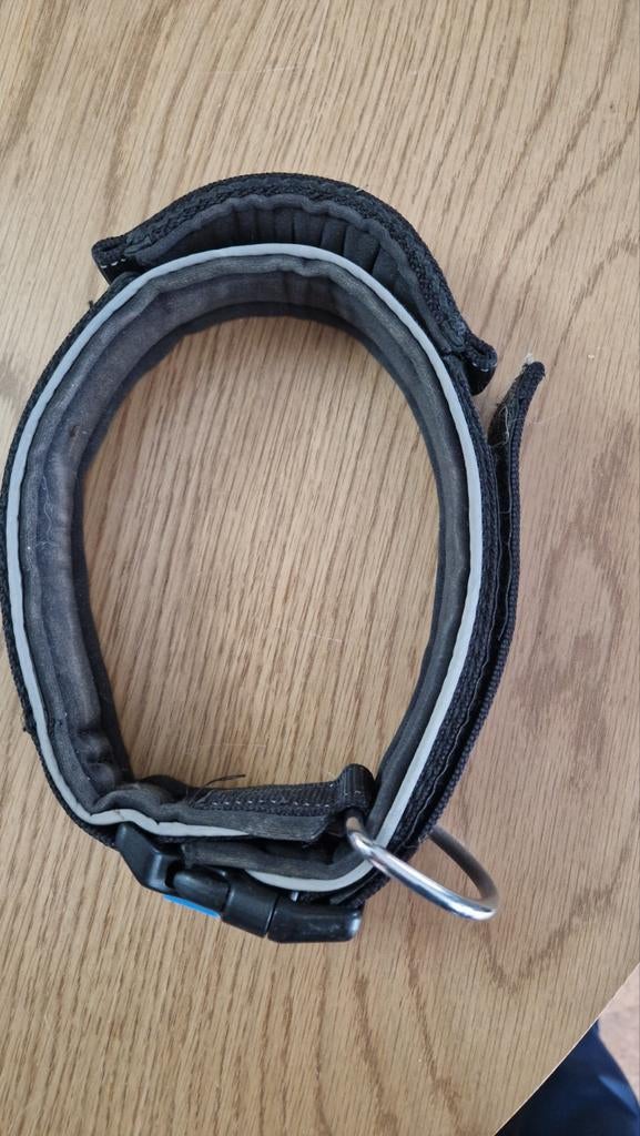 Halsband, Dieren en Toebehoren, Ophalen of Verzenden